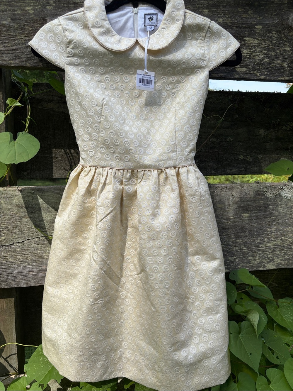 Busy Bees Peter Pan Collar Cream Girls' Dress Size 12